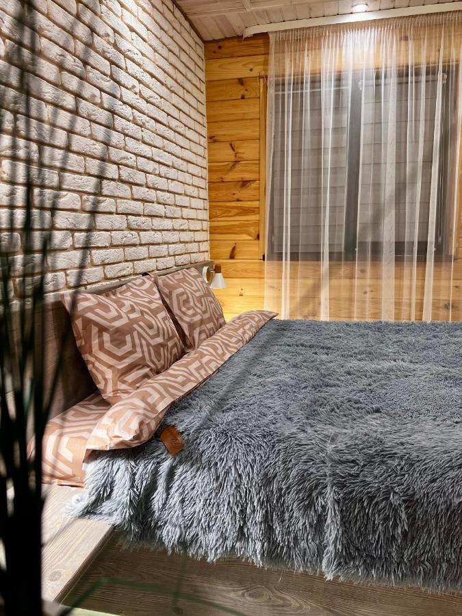 ホテル Edelweiss House スヴィチャス エクステリア 写真